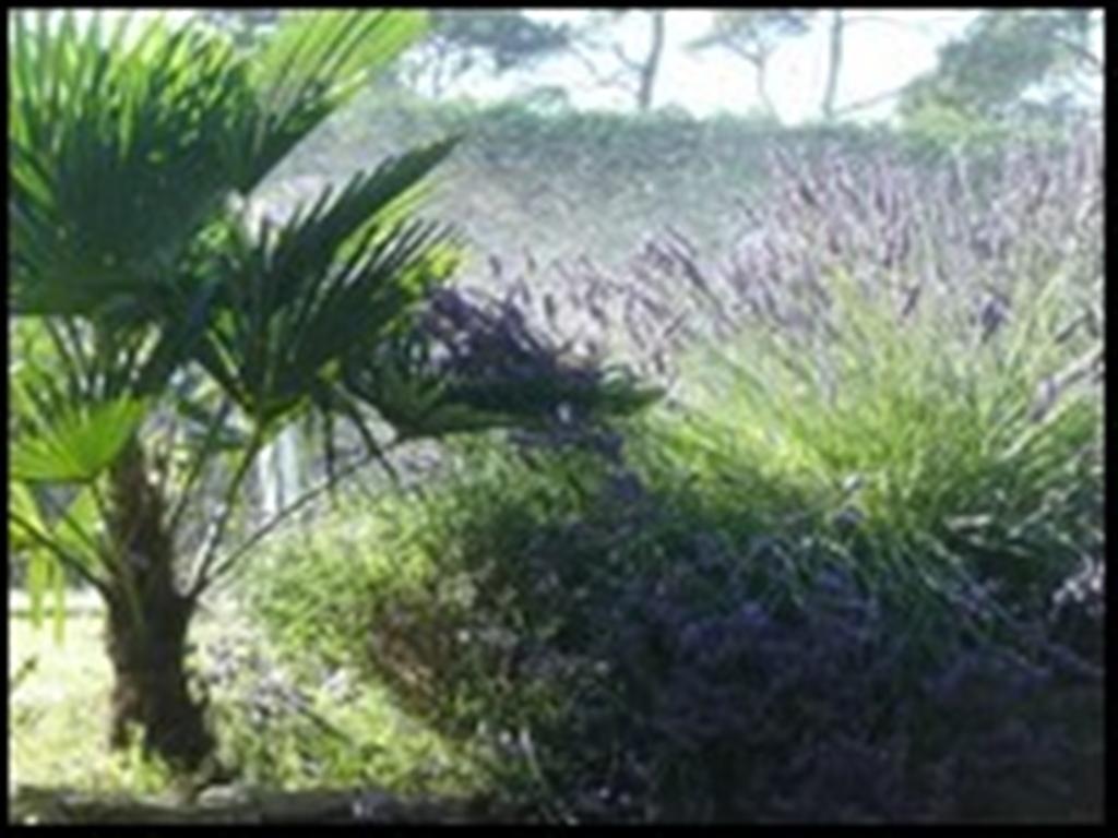Bed and Breakfast La Tangana Rognes Exterior foto